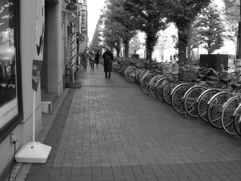 歩道の右側に自転車が整然と並べて停められている写真