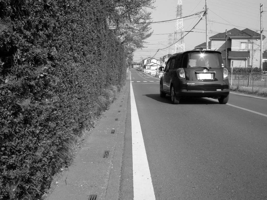 植え込みと白線に挟まれた狭い路側帯のある道路のモノクロ写真。路側帯のすぐ横の車道を並行して一台の車が走行している。