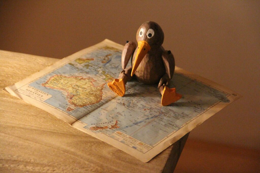 木製テーブルの上に世界地図が開いて置いてあり、その上に木のキウイ(鳥)の形をした置物が置かれている写真