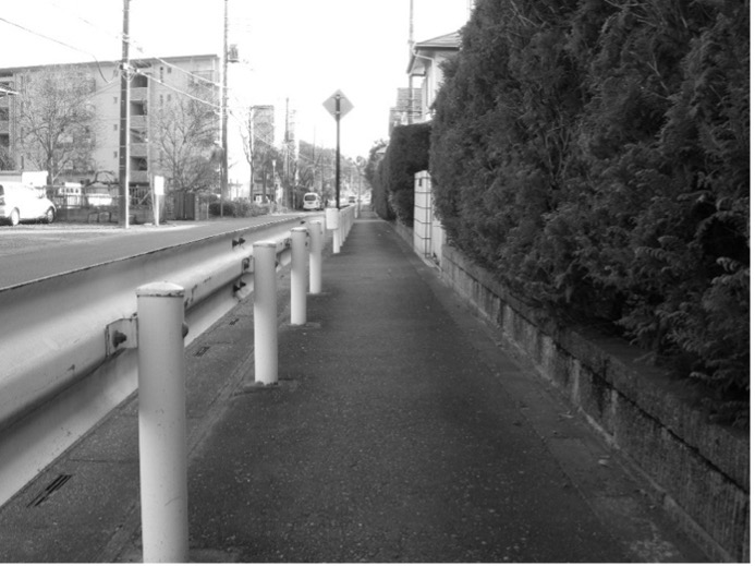 民地側に背の高い生垣、車道側にガードレールがある歩道の写真