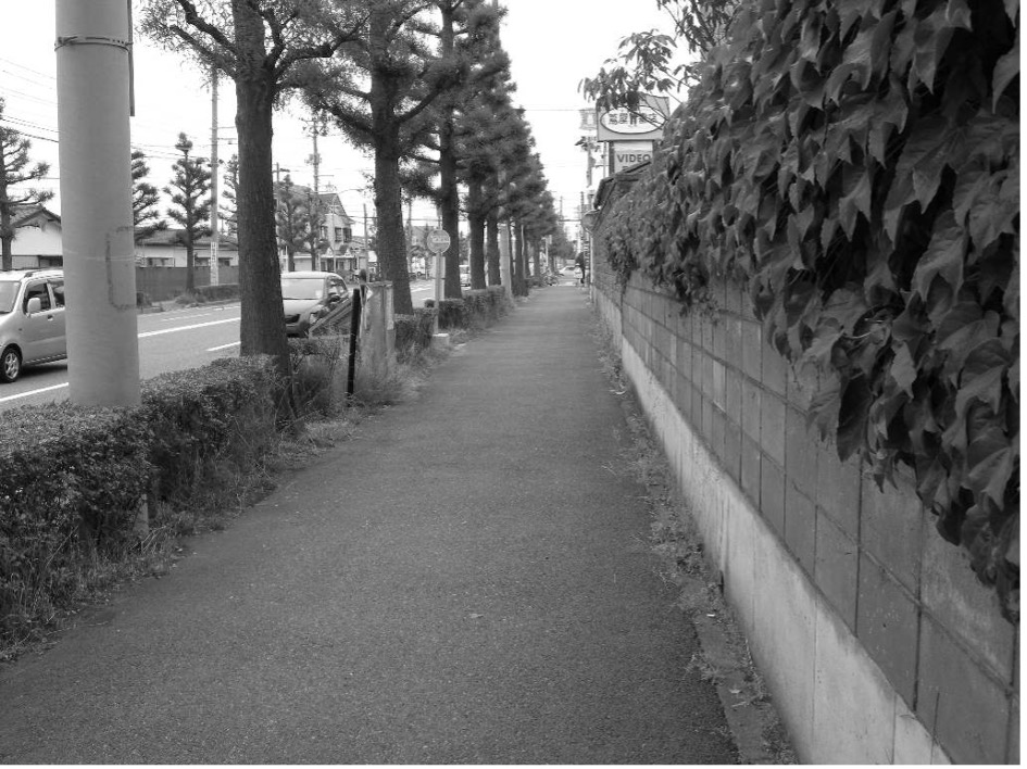 民地側にブロック塀、車道側に植え込みと街路樹がある歩道の写真